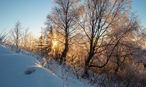 Winter Outdoor Walking