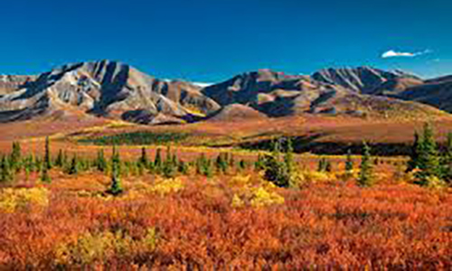 Alaska Autumn Is Here